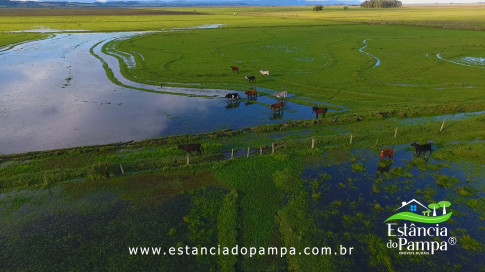 DOS EÓLICOS VIRA P FAZENDA_Moment.00_03_32_13.Quadro242_ffcf25abc7285bae84fa5ffb3f367868f4a9c622.jpg